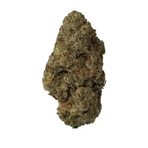 Luana 24/1 Electric – Produktbild des Anbieters Bloomwell