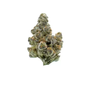 Tweed FDF 30/1 – Produktbild des Anbieters Bloomwell