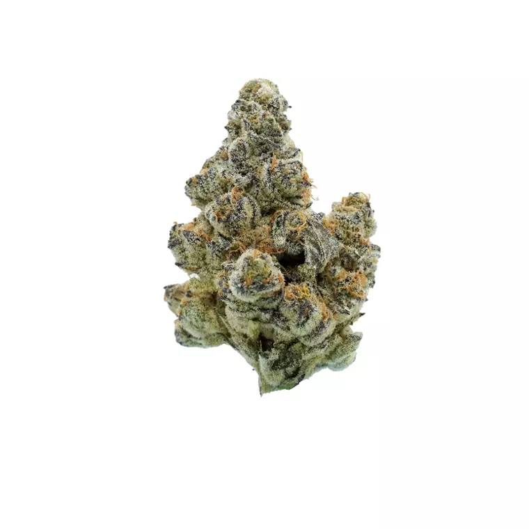 Tweed FDF 30/1 – Produktbild des Anbieters Bloomwell