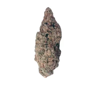 Demecan Core Pulse 25:01 – Produktbild des Anbieters Bloomwell