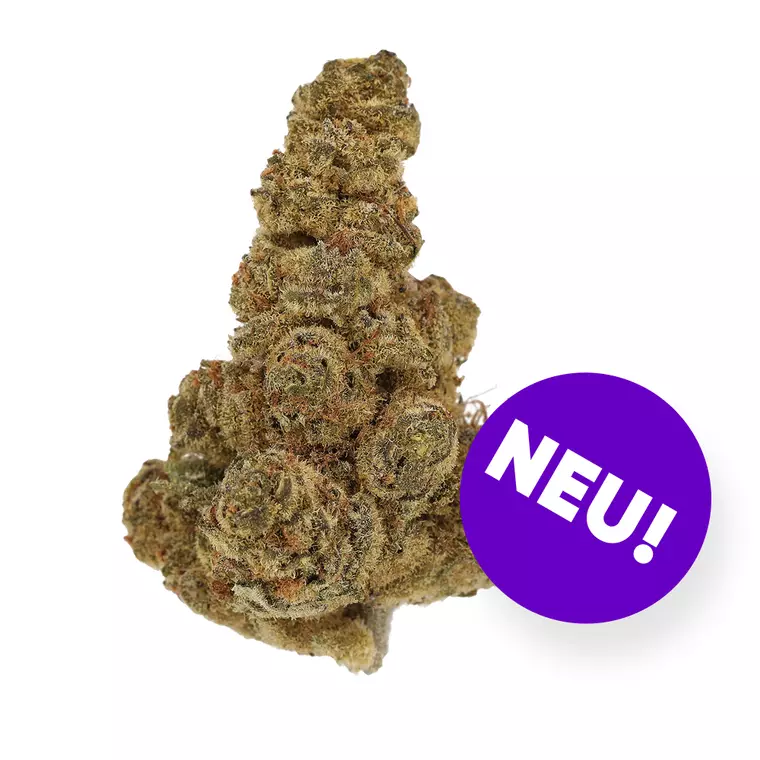 Cannamedical Indica Ultra SM – Produktbild des Anbieters Bloomwell