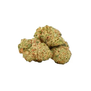 enua 27/1 DGB CA – Produktbild des Anbieters Bloomwell