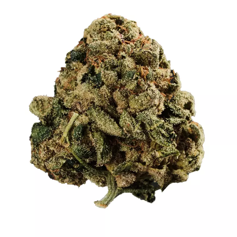 Curaleaf Natural 27/1 PT WPT – Produktbild des Anbieters Bloomwell
