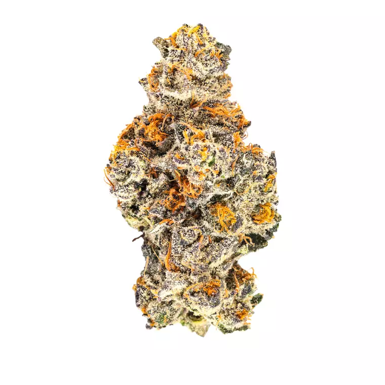 Barongo 28/1 PP – Produktbild des Anbieters Bloomwell