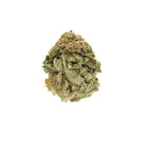 NICE 26/1 LVC – Produktbild des Anbieters Bloomwell