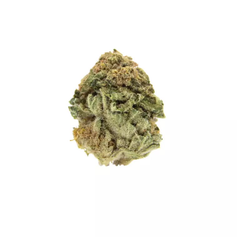 NICE 26/1 LVC – Produktbild des Anbieters Bloomwell