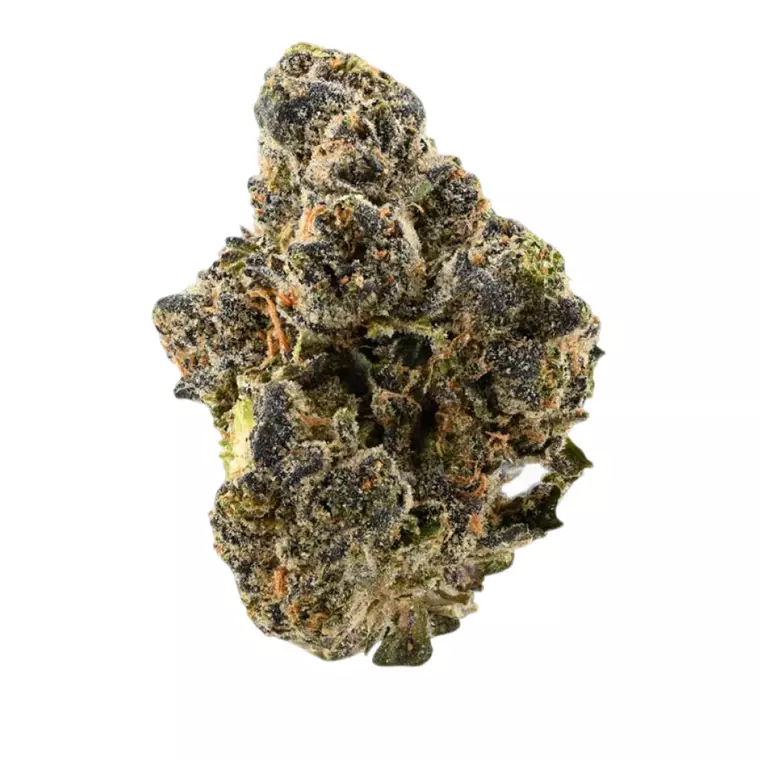 Demecan CV Regular Drop – Produktbild des Anbieters Bloomwell