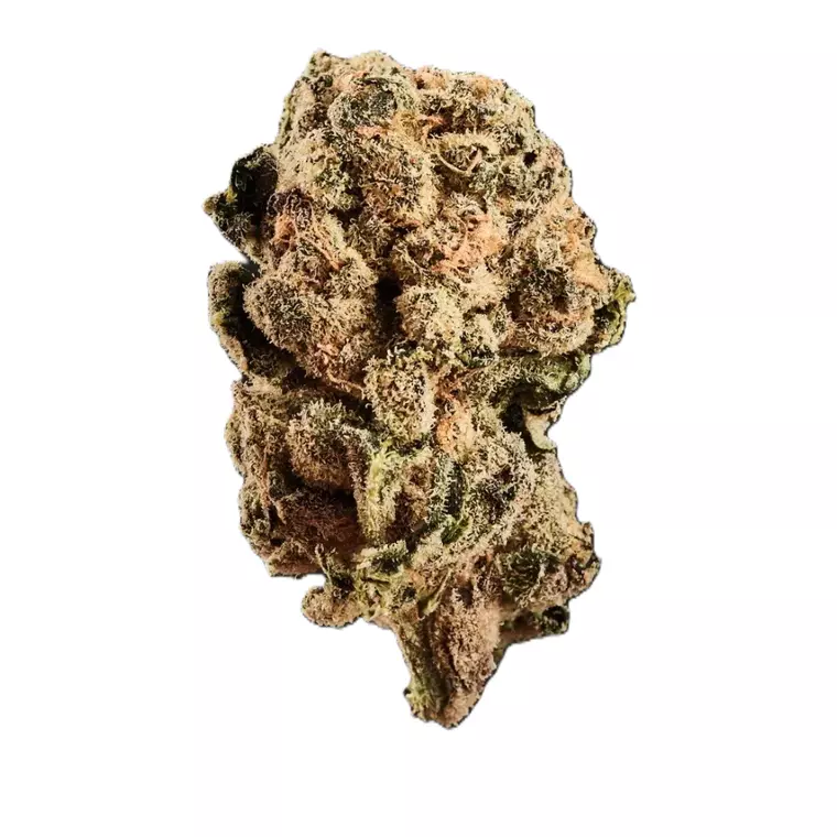 Huala 30/1 CA DBC – Produktbild des Anbieters Bloomwell