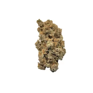 Wildlife 22 GB CAN – Produktbild des Anbieters Bloomwell