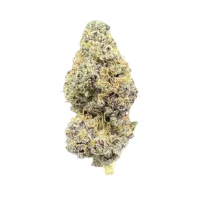 enua 27/1 HSS CA – Produktbild des Anbieters Bloomwell