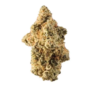 Avaay Signature 28/1 WB – Produktbild des Anbieters Bloomwell
