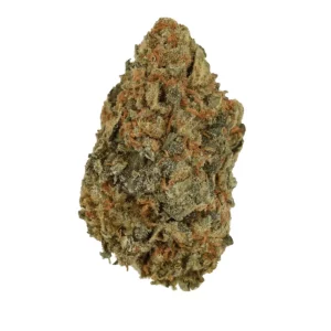 CM 28/1 BRY – Produktbild des Anbieters Bloomwell