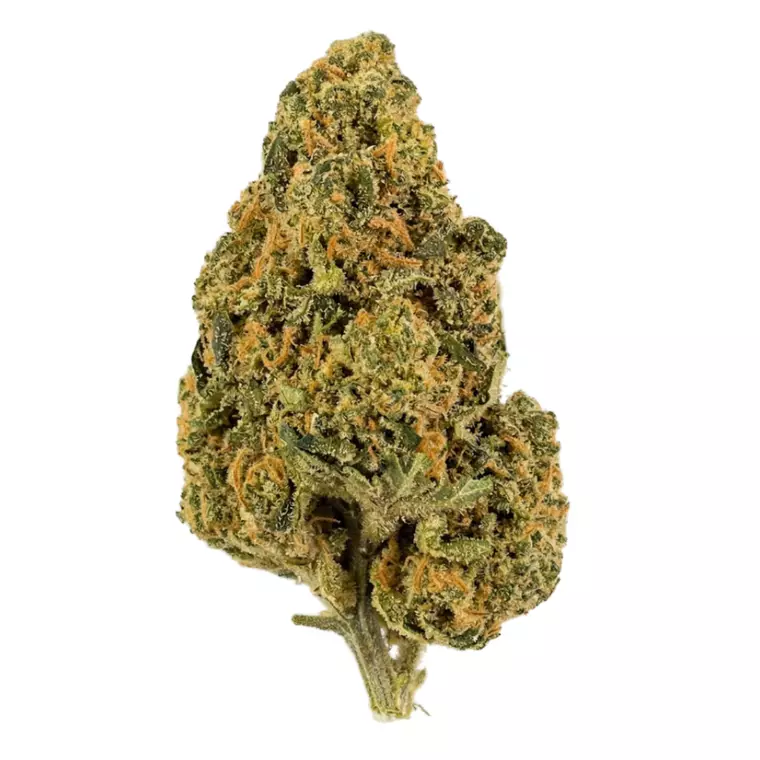 NICE 26/1 CHA – Produktbild des Anbieters Bloomwell
