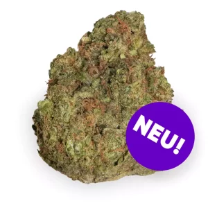Care LBB THC20 – Produktbild des Anbieters Bloomwell