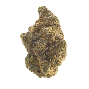 LOT 420 GLOC 25/1 – Produktbild des Anbieters Bloomwell