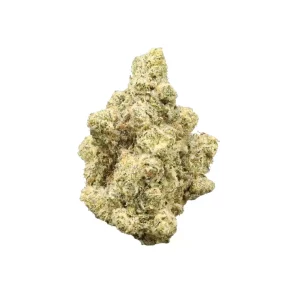 Avaay 29/1 CP – Produktbild des Anbieters Bloomwell