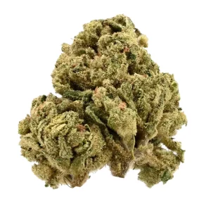 Demecan GT Regular Drop 25:01 – Produktbild des Anbieters Bloomwell