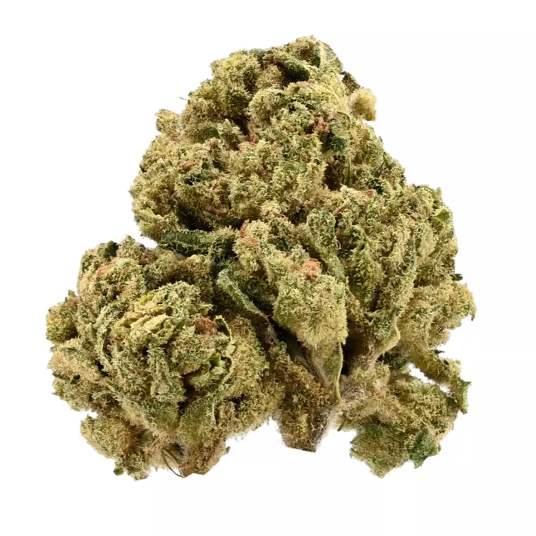Demecan GT Regular Drop 25:01 – Produktbild des Anbieters Bloomwell