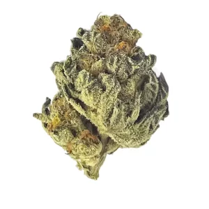 NICE 26/1 KC – Produktbild des Anbieters Bloomwell