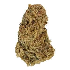 Cannamedical Sativa forte ES – Produktbild des Anbieters Bloomwell