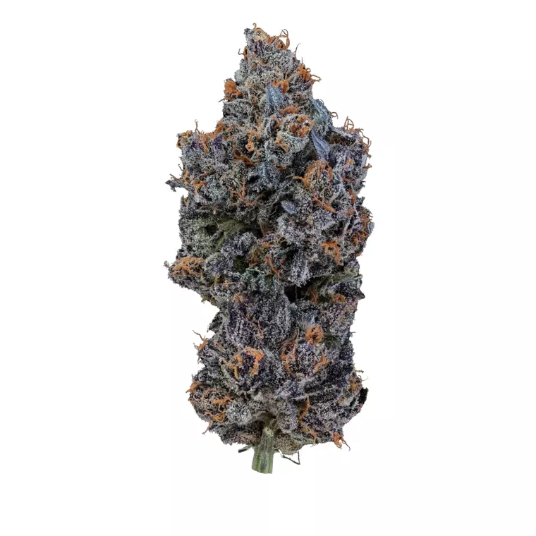 24/1 IUVO OC – Produktbild des Anbieters Bloomwell