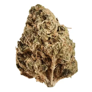 Huala 30/1 CA ALM – Produktbild des Anbieters Bloomwell