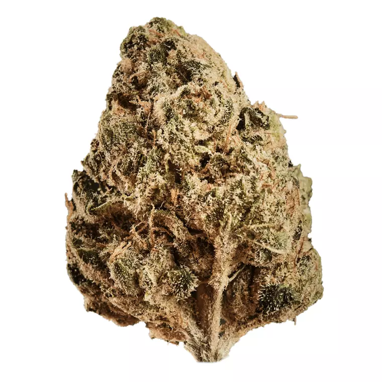 Huala 30/1 CA ALM – Produktbild des Anbieters Bloomwell