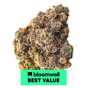 Amici 29/1 YHE – Produktbild des Anbieters Bloomwell