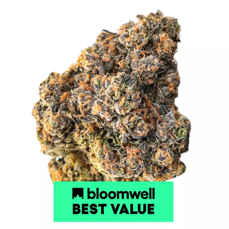 Amici 29/1 YHE – Produktbild des Anbieters Bloomwell