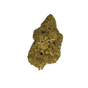 LIT 27/1 DC – Produktbild des Anbieters Bloomwell