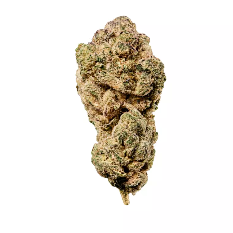 HUALA 27/1 CA GVZ – Produktbild des Anbieters Bloomwell
