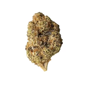 Amici 28/1 BR – Produktbild des Anbieters Bloomwell