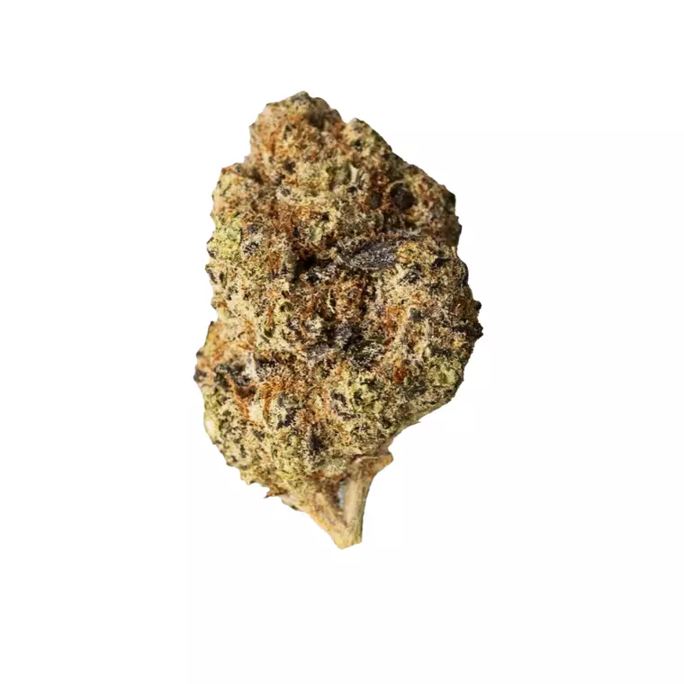 Amici 28/1 BR – Produktbild des Anbieters Bloomwell
