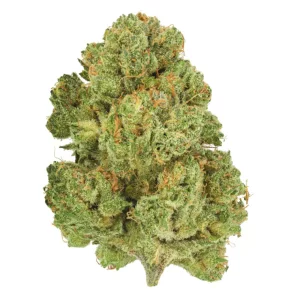 Pedanios 10/13 MBE-CA – Produktbild des Anbieters Bloomwell