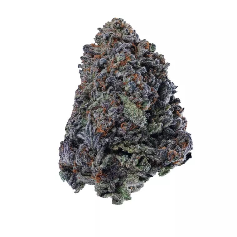 26/1 IUVO OC – Produktbild des Anbieters Bloomwell