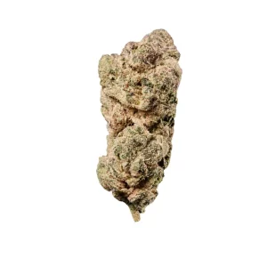 HUALA 25/1 CA GVZ – Produktbild des Anbieters Bloomwell