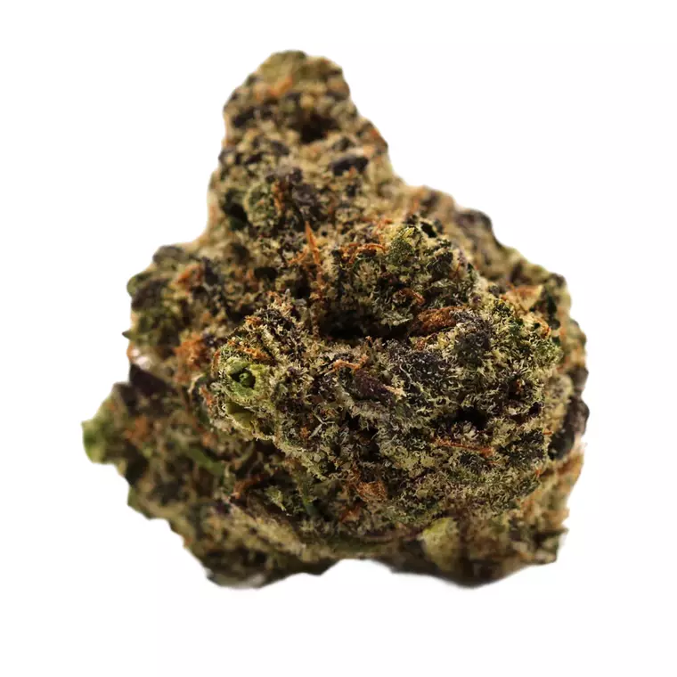 Lot 420 OC 25/1 – Produktbild des Anbieters Bloomwell