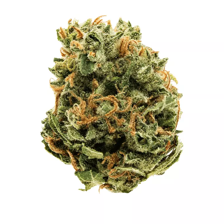 Blayz 30/1 SWC – Produktbild des Anbieters Bloomwell