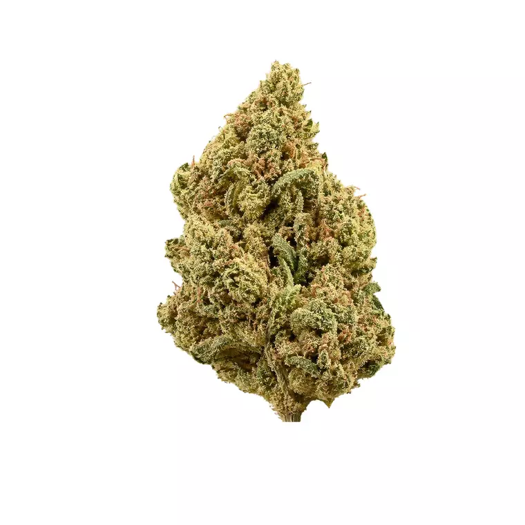 Demean GT Lean Drop – Produktbild des Anbieters Bloomwell