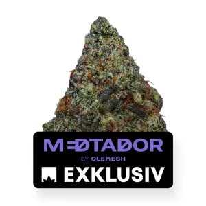 MEDTADOR 26/1 OLC – Produktbild des Anbieters Bloomwell