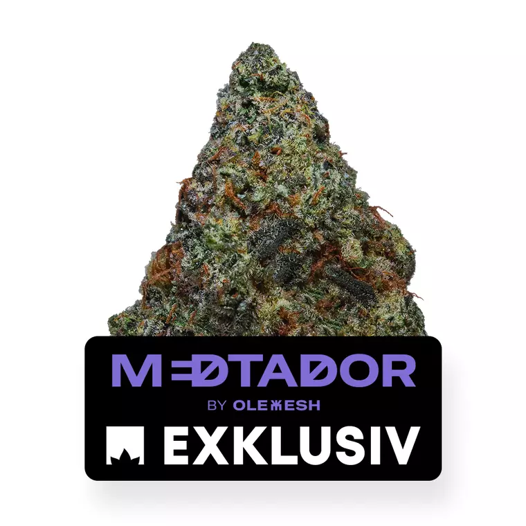 MEDTADOR 26/1 OLC – Produktbild des Anbieters Bloomwell