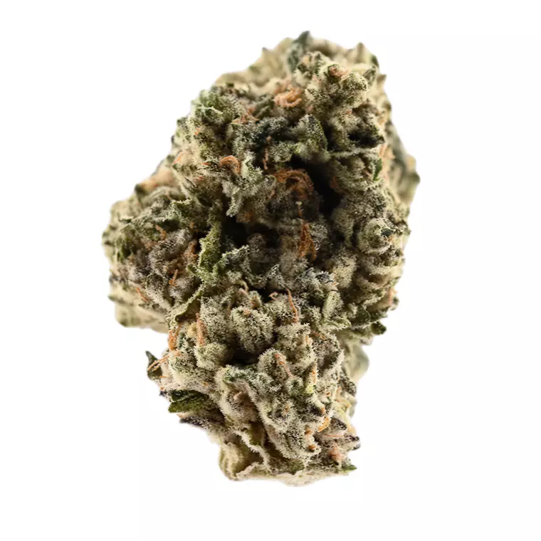 Demecan PS Strong Drop – Produktbild des Anbieters Bloomwell