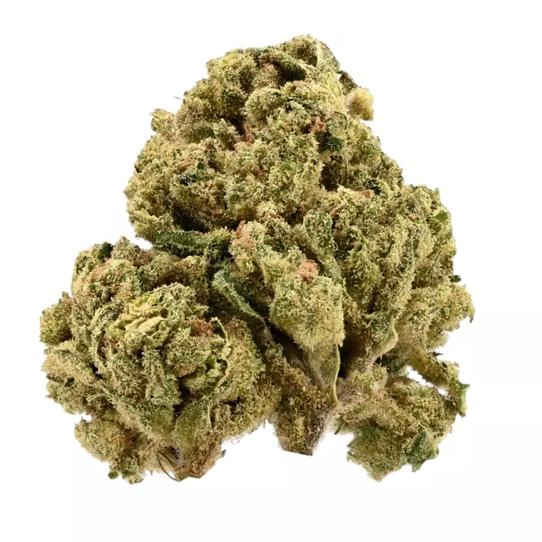 Demecan GT Strong Drop 27:01 – Produktbild des Anbieters Bloomwell