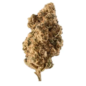 Huala 30/1 CA BDL – Produktbild des Anbieters Bloomwell