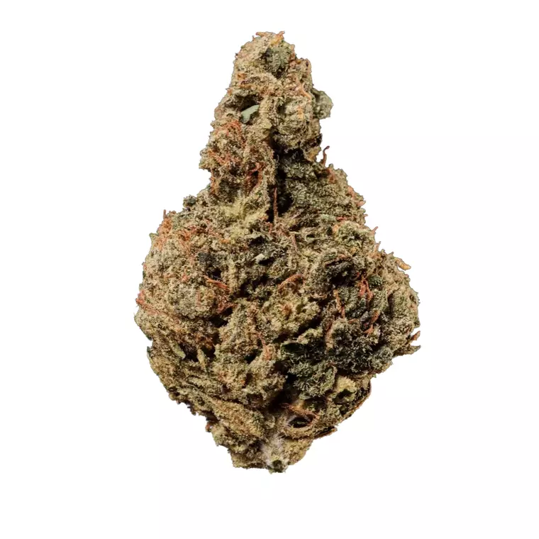 Huala 30/1 CA JFL – Produktbild des Anbieters Bloomwell
