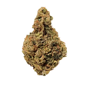 HUALA 25/1 CA JFL – Produktbild des Anbieters Bloomwell