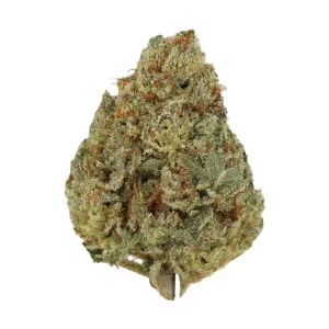 Cannamedical Sativa Ultra ES – Produktbild des Anbieters Bloomwell
