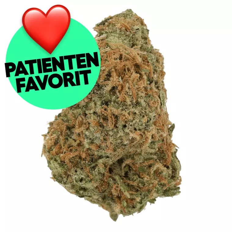 Cannamedical Sativa Forte NM – Produktbild des Anbieters Bloomwell