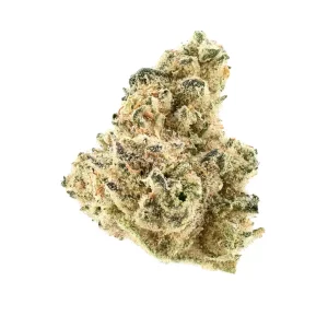 Demecan Craft Platinum 31:01 – Produktbild des Anbieters Bloomwell