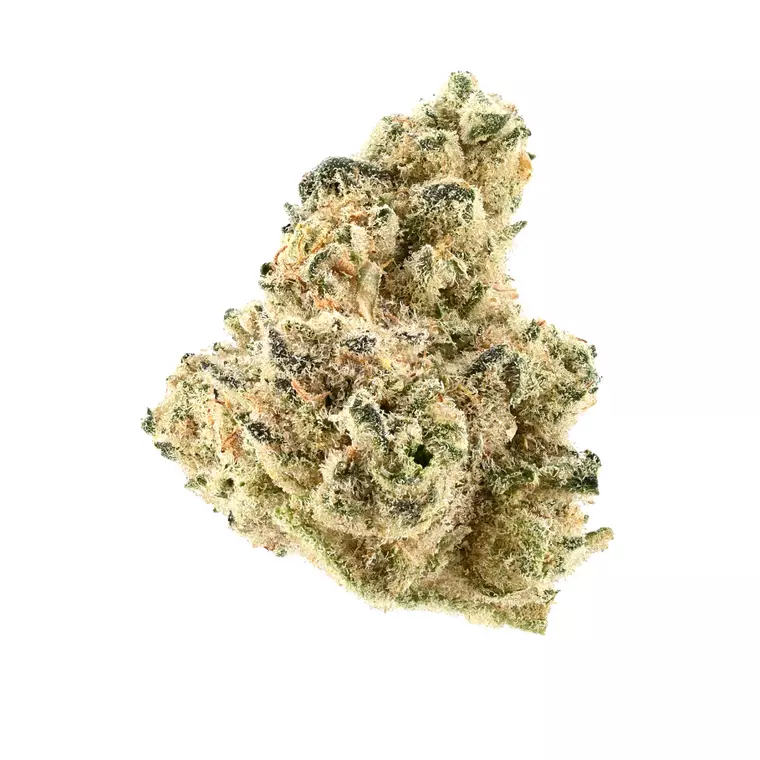 Demecan Craft Platinum 31:01 – Produktbild des Anbieters Bloomwell